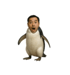 おじペンギン（個別スタンプ：30）