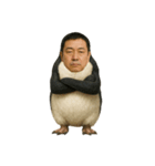おじペンギン（個別スタンプ：31）