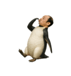 おじペンギン（個別スタンプ：33）