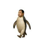 おじペンギン（個別スタンプ：37）