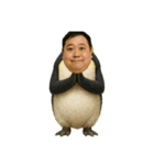 おじペンギン（個別スタンプ：39）