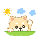 かわいいレモン柴犬「マランちゃん」（個別スタンプ：1）