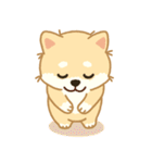 かわいいレモン柴犬「マランちゃん」（個別スタンプ：15）