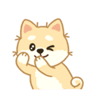 かわいいレモン柴犬「マランちゃん」（個別スタンプ：19）