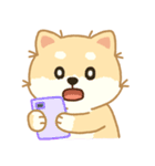 かわいいレモン柴犬「マランちゃん」（個別スタンプ：20）