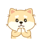かわいいレモン柴犬「マランちゃん」（個別スタンプ：21）