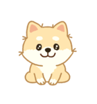 かわいいレモン柴犬「マランちゃん」（個別スタンプ：22）