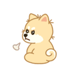 かわいいレモン柴犬「マランちゃん」（個別スタンプ：24）