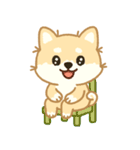 かわいいレモン柴犬「マランちゃん」（個別スタンプ：30）