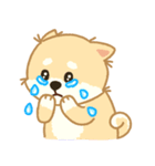 かわいいレモン柴犬「マランちゃん」（個別スタンプ：32）