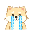 かわいいレモン柴犬「マランちゃん」（個別スタンプ：33）