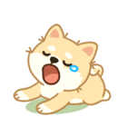 かわいいレモン柴犬「マランちゃん」（個別スタンプ：36）