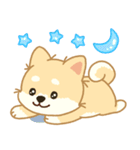 かわいいレモン柴犬「マランちゃん」（個別スタンプ：38）
