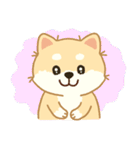 かわいいレモン柴犬「マランちゃん」（個別スタンプ：39）