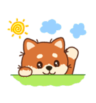 かわいいブラウンシバ犬「マランちゃん」（個別スタンプ：1）
