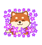 かわいいブラウンシバ犬「マランちゃん」（個別スタンプ：16）