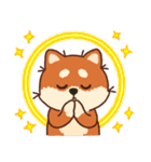 かわいいブラウンシバ犬「マランちゃん」（個別スタンプ：17）