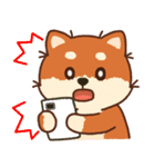 かわいいブラウンシバ犬「マランちゃん」（個別スタンプ：20）