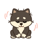 かわいいチョコレート柴犬「マランちゃん」（個別スタンプ：23）