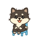かわいいチョコレート柴犬「マランちゃん」（個別スタンプ：30）