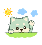 かわいいミント柴犬「マランちゃん」（個別スタンプ：1）