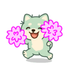 かわいいミント柴犬「マランちゃん」（個別スタンプ：13）