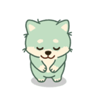 かわいいミント柴犬「マランちゃん」（個別スタンプ：15）