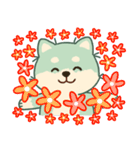 かわいいミント柴犬「マランちゃん」（個別スタンプ：16）