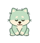 かわいいミント柴犬「マランちゃん」（個別スタンプ：23）