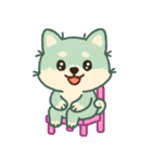 かわいいミント柴犬「マランちゃん」（個別スタンプ：30）