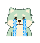 かわいいミント柴犬「マランちゃん」（個別スタンプ：33）