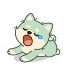かわいいミント柴犬「マランちゃん」（個別スタンプ：36）