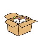 ぐうたらぐで太郎。（個別スタンプ：28）