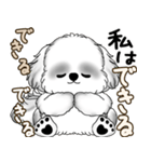 新・B＆Wシーズー犬  「やるかやらないか」（個別スタンプ：1）