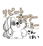新・B＆Wシーズー犬  「やるかやらないか」（個別スタンプ：2）