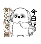 新・B＆Wシーズー犬  「やるかやらないか」（個別スタンプ：3）