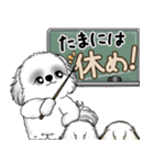 新・B＆Wシーズー犬  「やるかやらないか」（個別スタンプ：4）