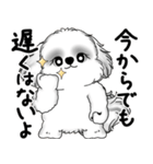 新・B＆Wシーズー犬  「やるかやらないか」（個別スタンプ：6）