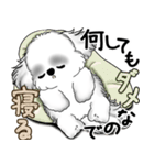新・B＆Wシーズー犬  「やるかやらないか」（個別スタンプ：7）