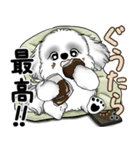 新・B＆Wシーズー犬  「やるかやらないか」（個別スタンプ：8）