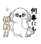 新・B＆Wシーズー犬  「やるかやらないか」（個別スタンプ：9）