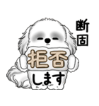 新・B＆Wシーズー犬  「やるかやらないか」（個別スタンプ：11）