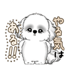 新・B＆Wシーズー犬  「やるかやらないか」（個別スタンプ：14）