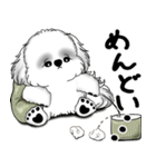 新・B＆Wシーズー犬  「やるかやらないか」（個別スタンプ：16）