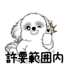 新・B＆Wシーズー犬  「やるかやらないか」（個別スタンプ：18）