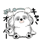 新・B＆Wシーズー犬  「やるかやらないか」（個別スタンプ：19）
