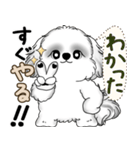 新・B＆Wシーズー犬  「やるかやらないか」（個別スタンプ：22）