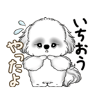 新・B＆Wシーズー犬  「やるかやらないか」（個別スタンプ：23）