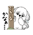 新・B＆Wシーズー犬  「やるかやらないか」（個別スタンプ：24）