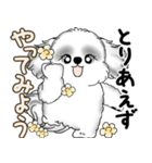 新・B＆Wシーズー犬  「やるかやらないか」（個別スタンプ：25）